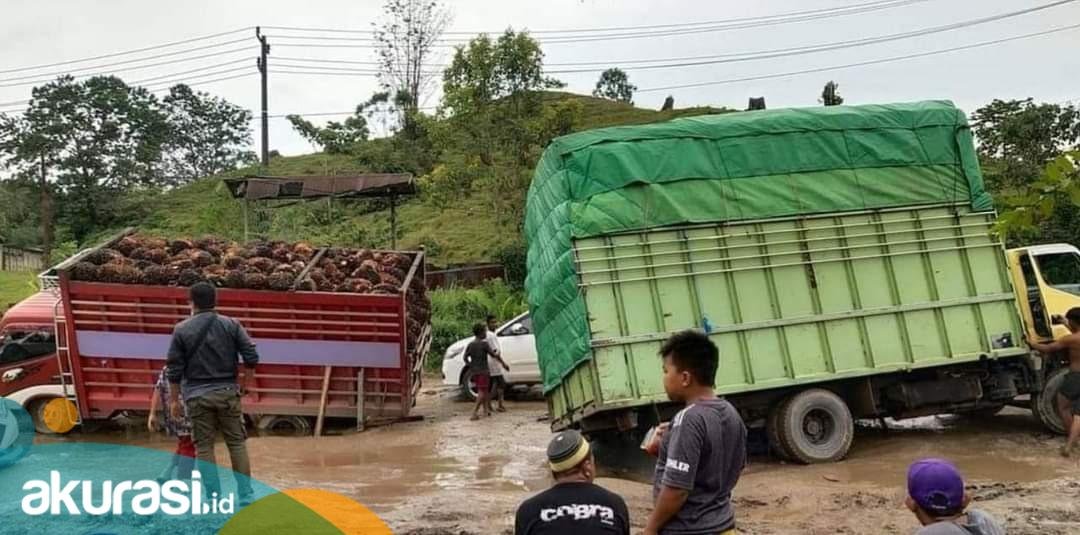 Suara Masyarakat Kaltim untuk Jokowi: Pak, Tolong Perbaiki Jalan!