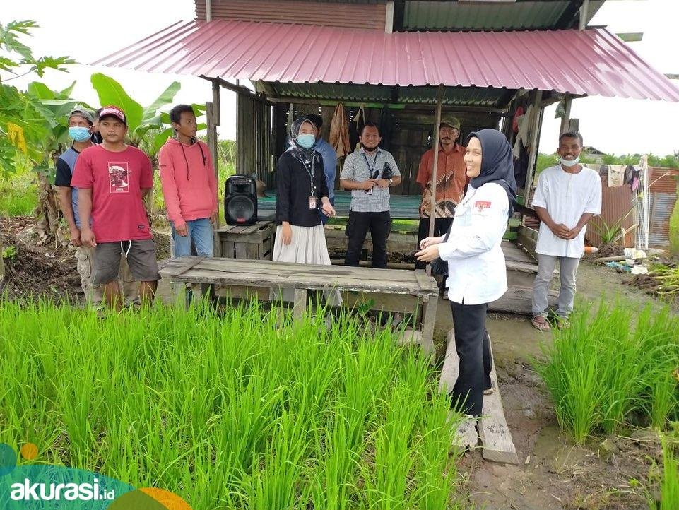 Membentengi Lahan Pertanian, Menjaga Keamanan Pangan Etam