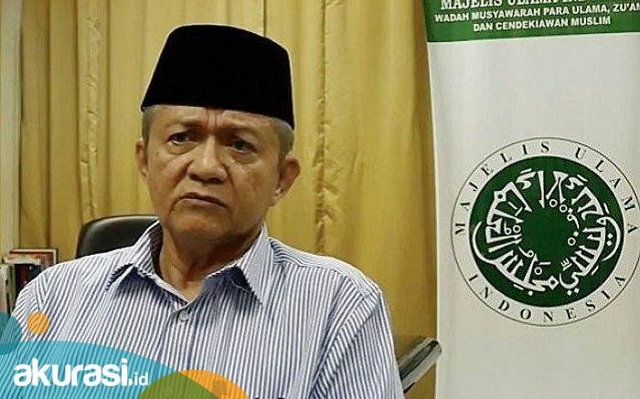 MUI dan Muhammadiyah Respons Viral Perempuan Hijab Pamer Payudara