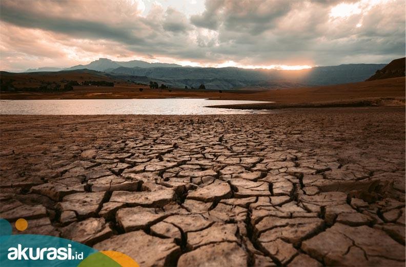 Pahami Keparahannya: NTT Keluarkan Siaga Darurat Kekeringan