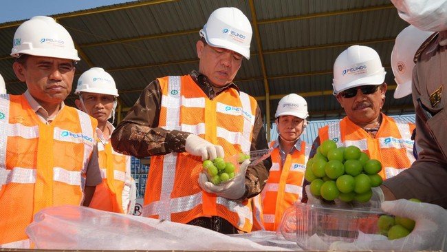 Bapanas Tingkatkan Pengawasan Pasar Indonesia Usai Temuan Residual Pestisida pada Anggur Shine Muscat