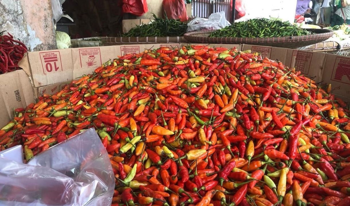 Harga Cabai Meroket: Faktor Cuaca Ekstrem dan Gagal Panen Jadi Penyebab Utama